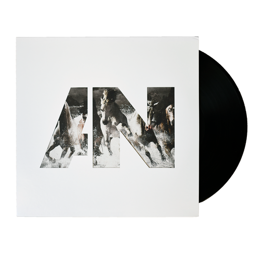 AWOL Run - Vinyl