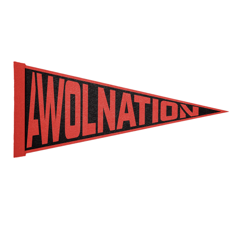 Pennant Flag